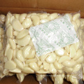 China Fresh white garlic peeled